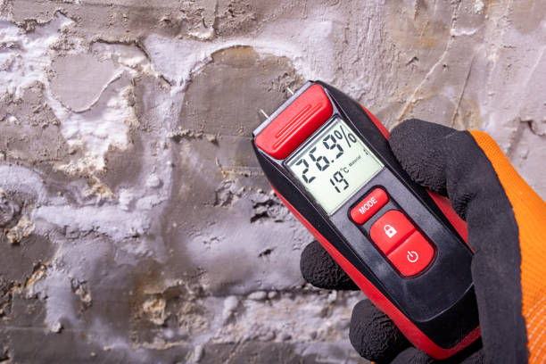 Best Post-Flood Mold Remediation in Middle Island, NY